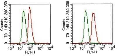 Flow Cytometry: FGFR1 Antibody (M17A3) - Azide and BSA Free [NBP2-80732]