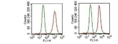Flow Cytometry: FGFR1 Antibody (M17D10) - Azide and BSA Free [NBP2-80733]