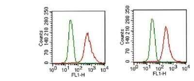 Flow Cytometry: FGFR1 Antibody (M17D10) - Azide and BSA Free [NBP2-80733]