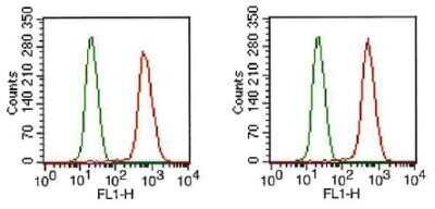 Flow Cytometry: FGFR1 Antibody (M2F12) - Azide and BSA Free [NBP2-80734]