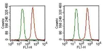 Flow Cytometry: FGFR1 Antibody (M2F12) - Azide and BSA Free [NBP2-80734]