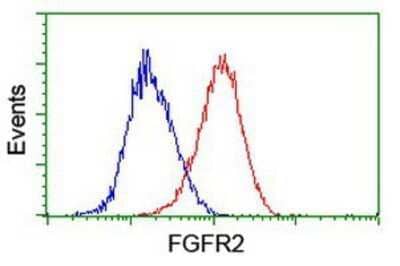 Flow Cytometry: FGFR2 Antibody (OTI5C5) - Azide and BSA Free [NBP2-70731]