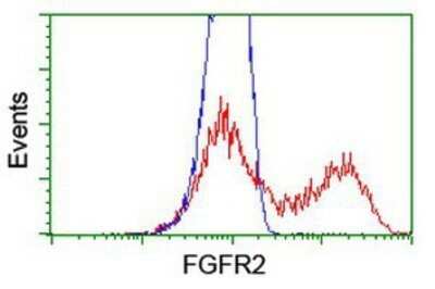 Flow Cytometry: FGFR2 Antibody (OTI5C5) - Azide and BSA Free [NBP2-70731]