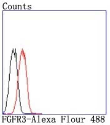 Flow Cytometry: FGFR3 Antibody (JM110-33) [NBP2-66840]