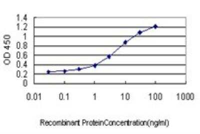 ELISA: FGL2/Fibroleukin Antibody (6D9) [H00010875-M01]