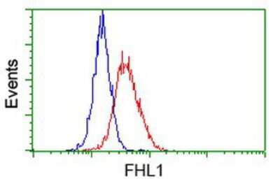 Flow Cytometry: FHL1 Antibody (OTI3G7) [NBP2-02654]