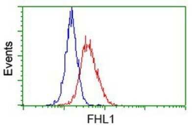 Flow Cytometry: FHL1 Antibody (OTI3G7) - Azide and BSA Free [NBP2-70739]