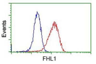 Flow Cytometry: FHL1 Antibody (OTI3G7) - Azide and BSA Free [NBP2-70739]