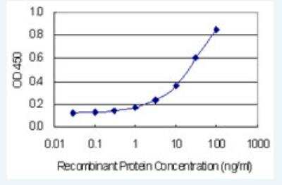 ELISA: FIGN Antibody (2F8) [H00055137-M02-100ug]