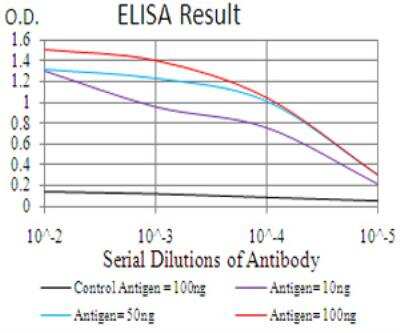 ELISA: FIP1/RCP Antibody (1A12B9D8) - BSA Free [NBP2-52546]
