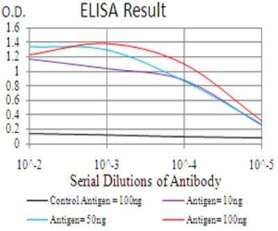 ELISA: FIP1/RCP Antibody (3A12H9D2) - BSA Free [NBP2-52547]