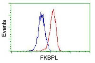 Flow Cytometry: FKBPL Antibody (OTI2D8) - Azide and BSA Free [NBP2-72125]