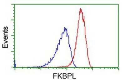 Flow Cytometry: FKBPL Antibody (OTI2D8) - Azide and BSA Free [NBP2-72125]