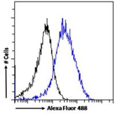 Flow Cytometry: FLAP Antibody [NB300-891]