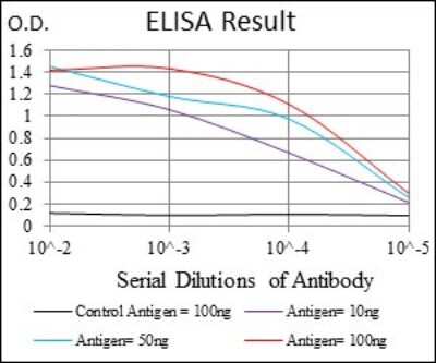 ELISA: FLIP Antibody (7A3D12) - BSA Free [NBP2-37359]