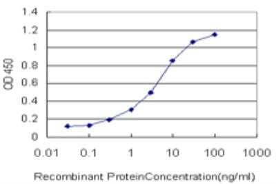 ELISA: POMK/SGK196 Antibody (6F10) [H00084197-M03]