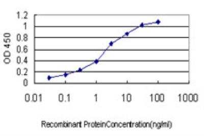 ELISA: FLJ23834 Antibody (8E8) [H00222256-M03]