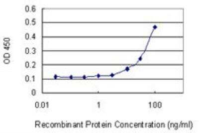 ELISA: FMN1 Antibody (4F4) [H00342184-M07]