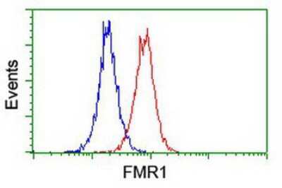 Flow Cytometry: FMRP Antibody (OTI1C6) [NBP2-01770]