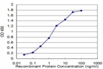 ELISA: FMRP Antibody (3E11) [H00002332-M03]