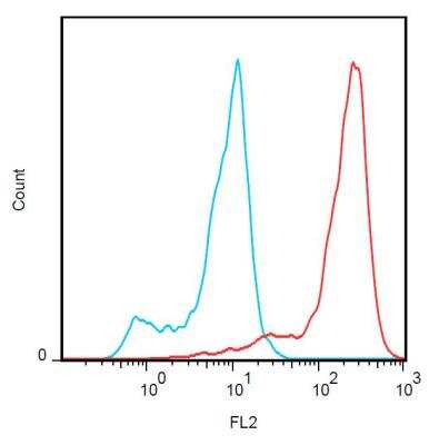 Flow (Cell Surface): FOLR2 Antibody (EM-35) [NBP2-62208]