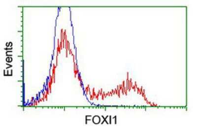 Flow Cytometry: FOXI1 Antibody (OTI1D4) [NBP2-03868]