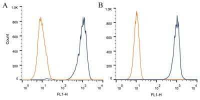 Flow Cytometry: FoxP1 Antibody (JC12) - BSA Free [NB100-65125]