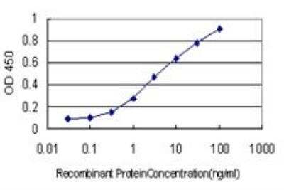 ELISA: FOXR2 Antibody (2C1) [H00139628-M01]