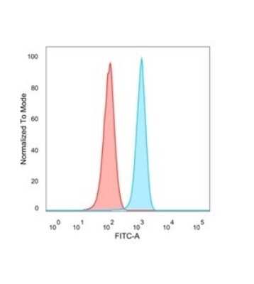 Flow Cytometry: FRA2 Antibody (PCRP-FOSL2-1B1) - Azide and BSA Free [NBP3-08467]