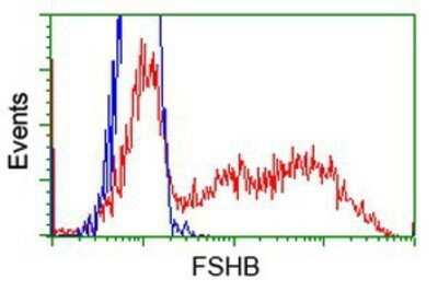 Flow Cytometry: FSH beta Antibody (OTI2A6) - Azide and BSA Free [NBP2-70781]