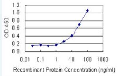 ELISA: FUBP3 Antibody (7B10) [H00008939-M03-100ug]
