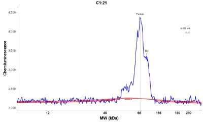 Simple Western: FXR1 Antibody [NBP1-89546]