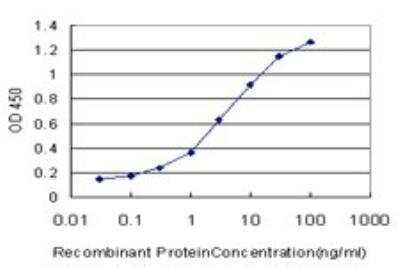 ELISA: Factor IX Antibody (2C9) [H00002158-M01]