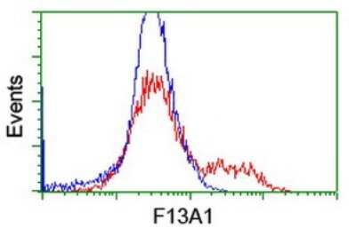 Flow Cytometry: Factor XIIIa Antibody (OTI6F5) [NBP2-45562]