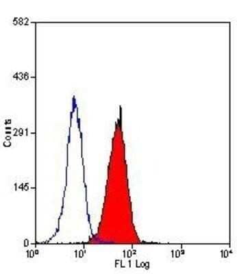 Flow Cytometry: Fas Ligand/TNFSF6 Antibody (14C2) - BSA Free [NB100-63072]