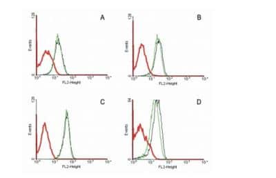 Flow Cytometry: Fas/TNFRSF6/CD95 Antibody (LT95) - BSA Free [NB500-503]