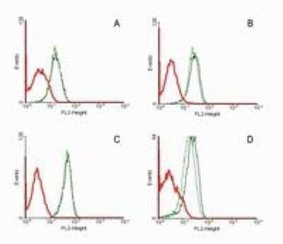 Flow Cytometry: Fas/TNFRSF6/CD95 Antibody (LT95) - BSA Free [NB500-503]