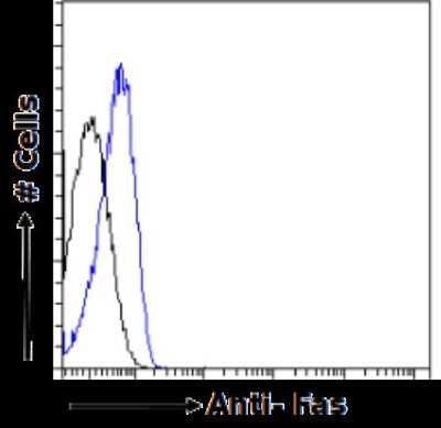 Flow Cytometry: Fas/TNFRSF6/CD95 Antibody (R-125224) - Chimeric - Azide and BSA Free [NBP2-81113]