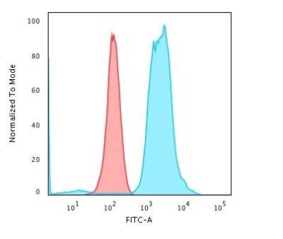 Flow Cytometry: Fascin Antibody (FSCN1/416) [NBP2-44382]