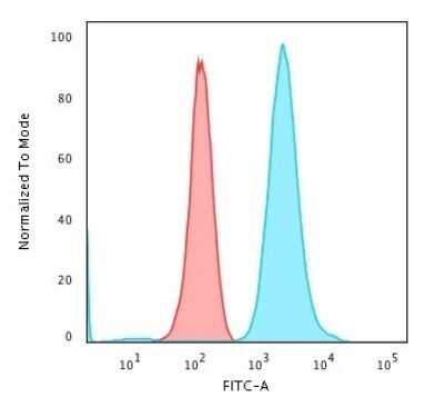 Flow Cytometry: Fascin Antibody (FSCN1/417) - Azide and BSA Free [NBP2-47801]
