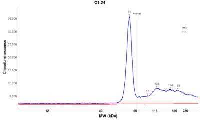 Simple Western: Fascin Antibody (FSCN1/417)Azide and BSA Free [NBP2-47801]
