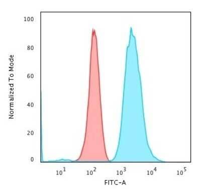 Flow Cytometry: Fascin Antibody (FSCN1/418) - Azide and BSA Free [NBP2-47802]