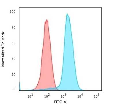 Flow Cytometry: Fascin Antibody (SPM133) [NBP2-44384]