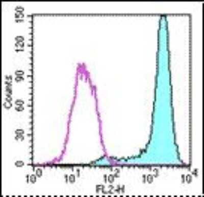 Flow Cytometry: Fc epsilon RI Antibody (43160) - BSA Free [NBP1-43279]