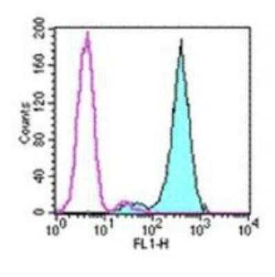 Flow Cytometry: Fc epsilon RI Antibody (43160) - BSA Free [NBP1-43279]