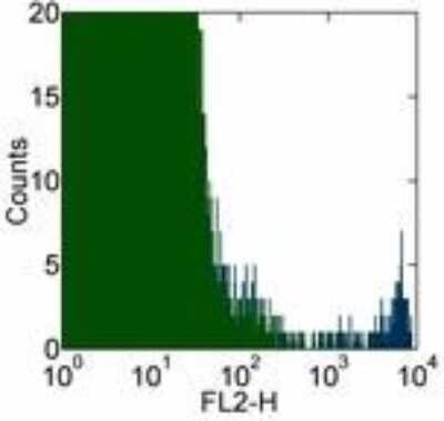 Flow Cytometry: Fc epsilon RI Antibody (AER-37) - BSA Free [NBP1-43278]