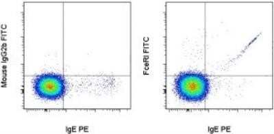 Flow Cytometry: Fc epsilon RI Antibody (AER-37) - BSA Free [NBP1-43278]