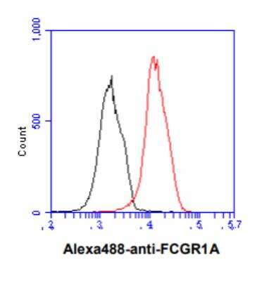 Flow Cytometry: Fc gamma RI/CD64 Antibody (37F7) - BSA Free [NBP2-42685]
