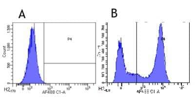 Flow Cytometry: Fc gamma RII/CD32 Antibody (AT10) - Chimeric - Azide and BSA Free [NBP3-08998]