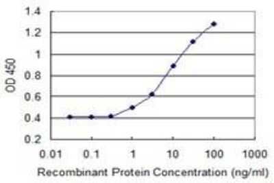 ELISA: Fc gamma RIIB/CD32b Antibody (2E10) [H00002213-M01]